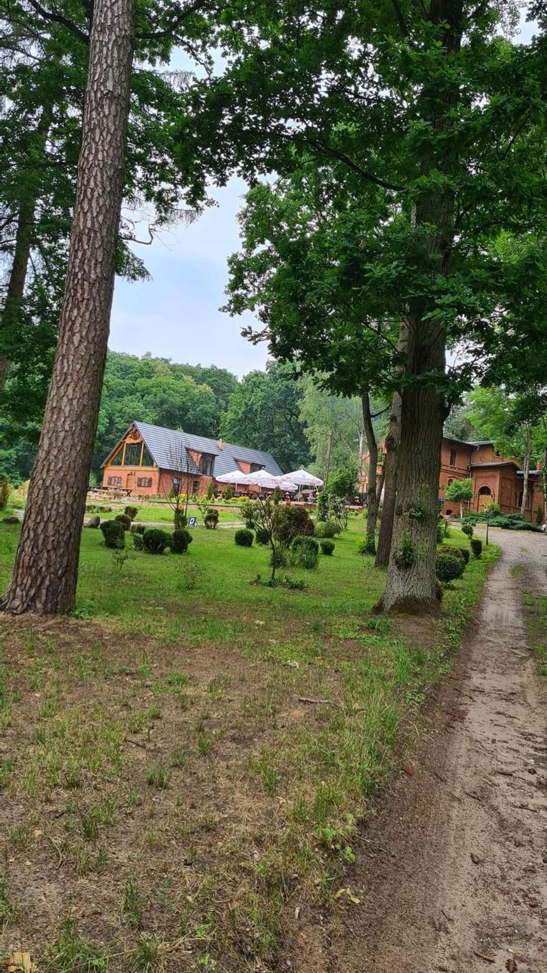 Apartamento Dwór Mysinek Grabowiec  Exterior foto